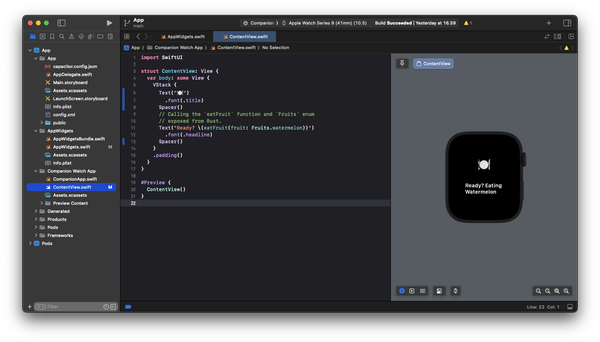 Final result as a watchOS Preview in Xcode